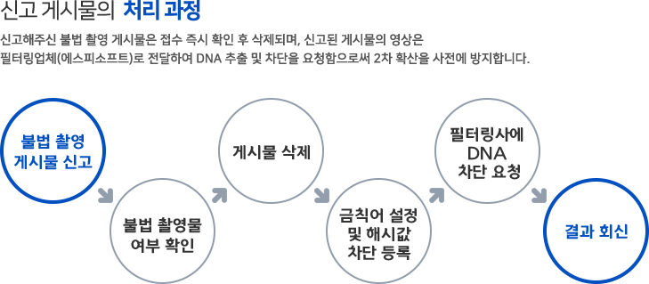 신고 게시물의 처리 과정